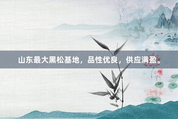 山东最大黑松基地，品性优良，供应满盈。