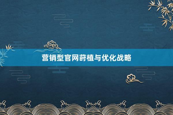 营销型官网莳植与优化战略